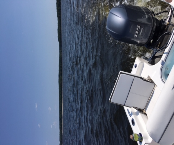 Used Tidewater Boats For Sale by owner | 2016 Tidewater Baymax 1910 Tidewater